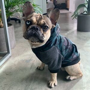 Frenchie Dog Hoodie — Forest Camo